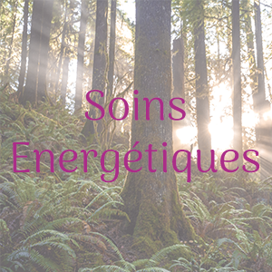 Soins énergétique Lagny sur marne, bussy saint georges, montevrain, chessy, serris, saint thibault des vignes, secteur marne la vallée, 77, seine et marne